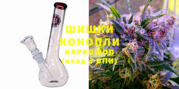 сатива Балахна
