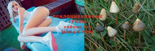 прущий лед Арсеньев