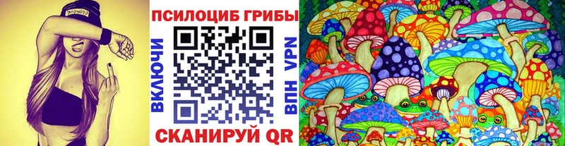 Галлюциногенные грибы мицелий  omg ТОР  Строитель  где продают наркотики 